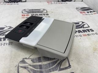 Плафон подсветки салона Rogue 2021 T33 2.5