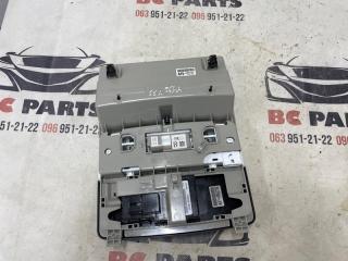 Плафон подсветки салона Rogue 2021 T33 2.5
