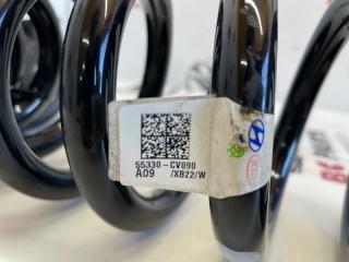 Пружина подвески задняя EV6 2023 Пружина подвески задняя EV6 2023