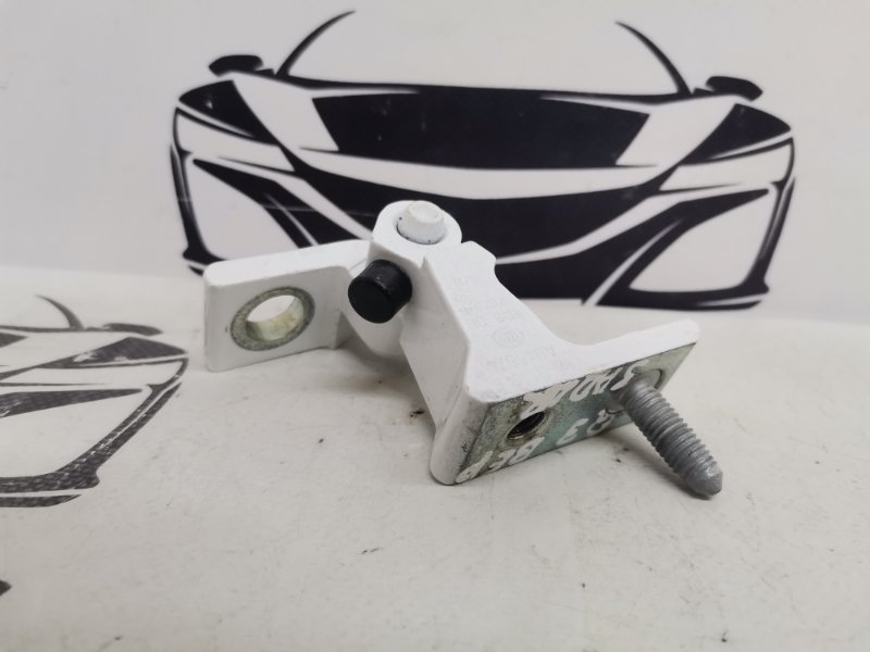 Петля двери Q3 2019-2023 83A 2.0