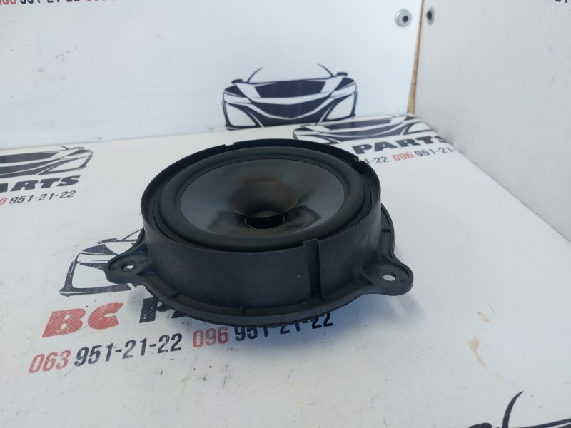Динамик Rogue 2021 T33 2.5