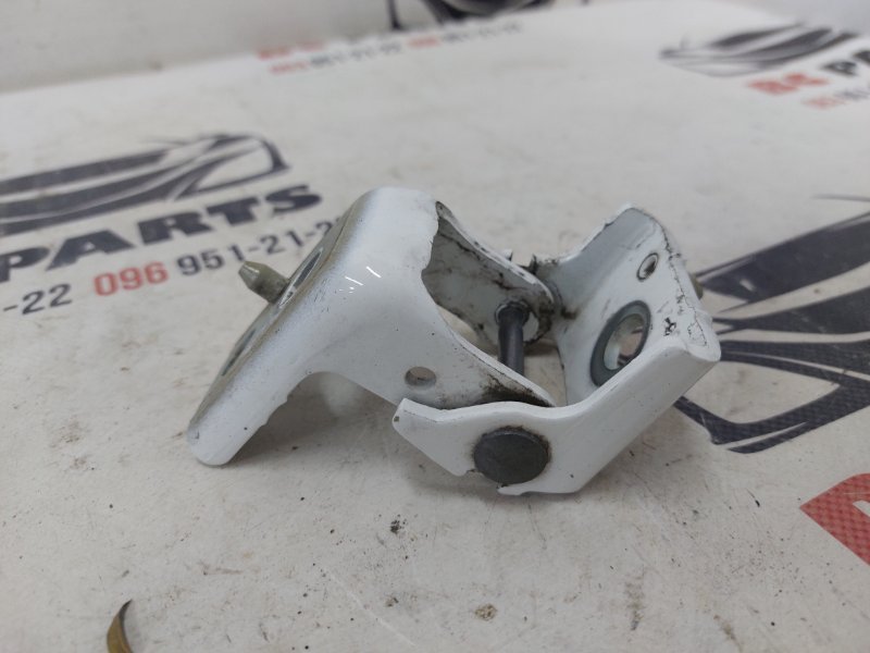 Петля двери задняя левая 301 2021 1.6