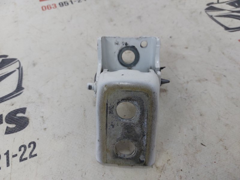 Петля двери задняя левая 301 2021 1.6