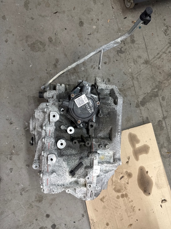 Вариатор Rogue 2021 T33 2.5
