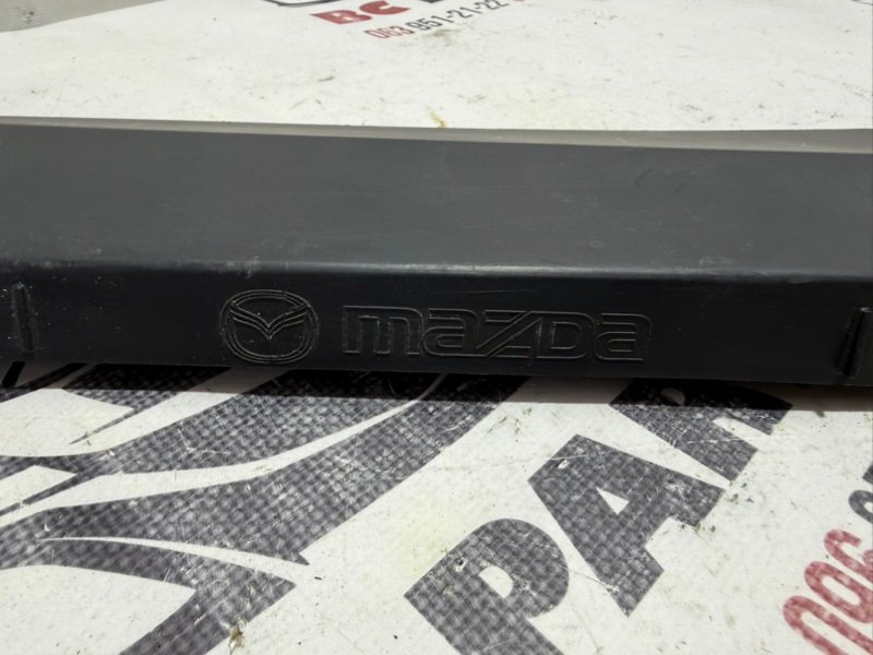 Дефлектор радиатора 3 2021 2.5