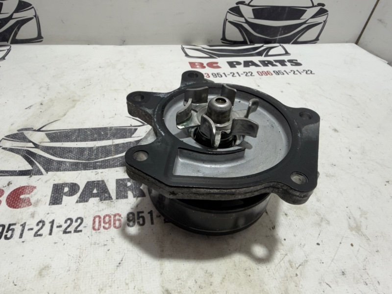 Помпа водяная (насос) охлаждения Rogue 2021 T33 2.5