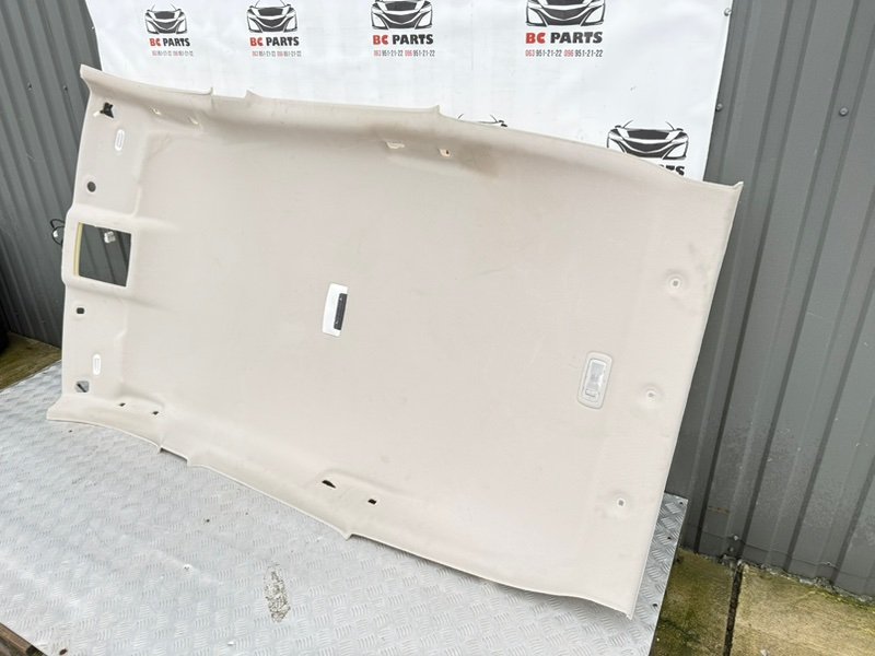 Обшивка потолка Rogue 2021 T33 2.5