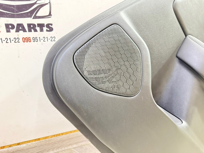 Обшивка боковой двери задняя правая Rogue 2021 T33 2.5