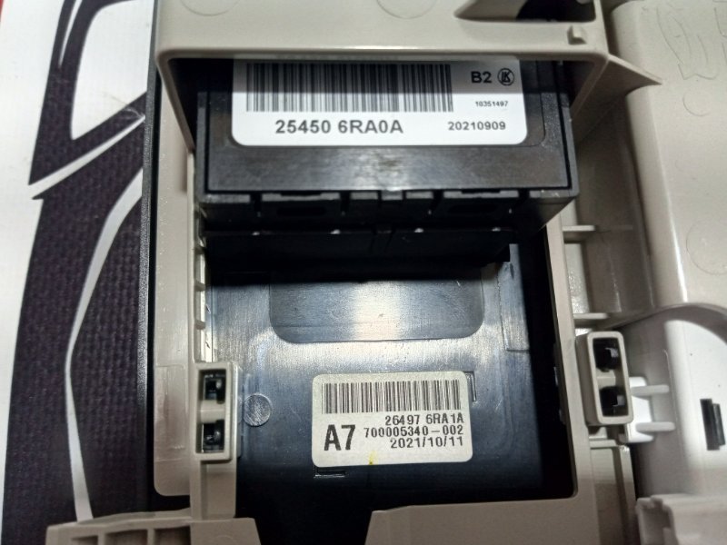 Плафон подсветки салона Rogue 2022 T33 1.5