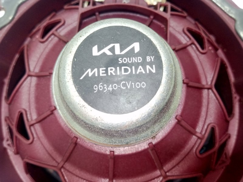 Динамик задний левый EV6 2023