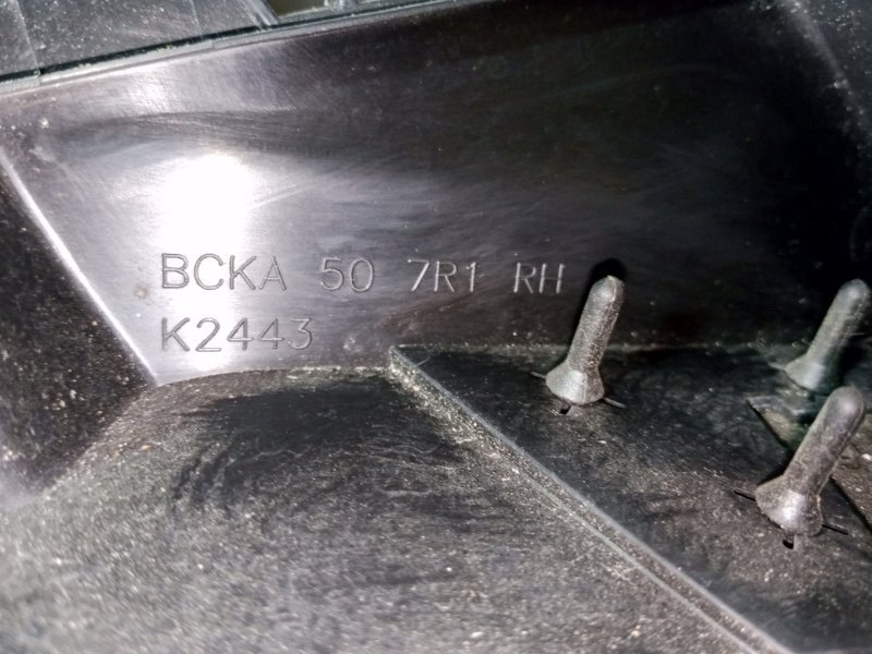 Жабо 3 2021 2.5