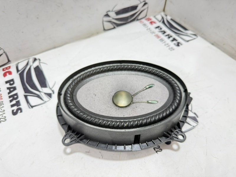 Динамик передний Rogue 2021 T33 2.5