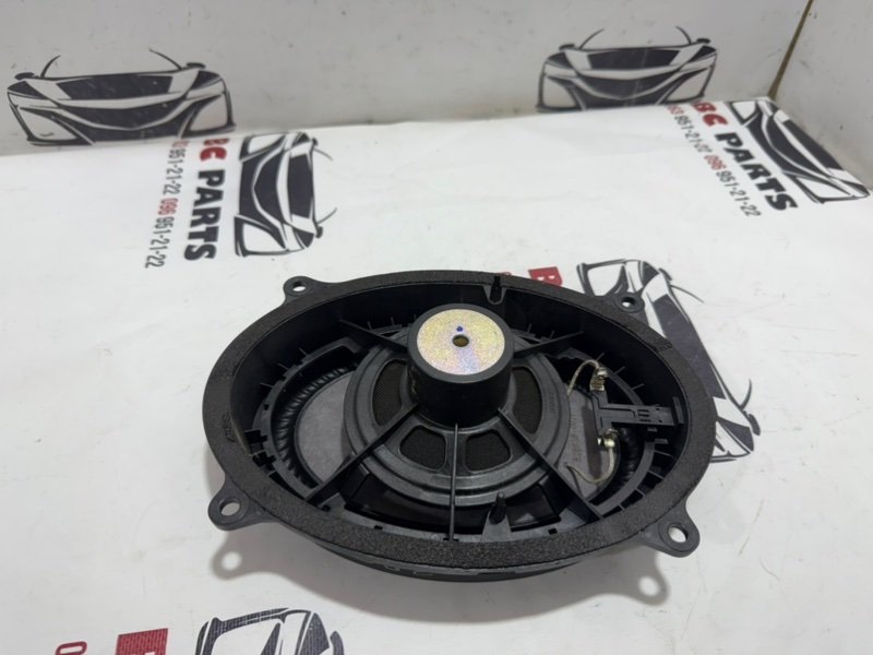 Динамик передний Rogue 2021 T33 2.5