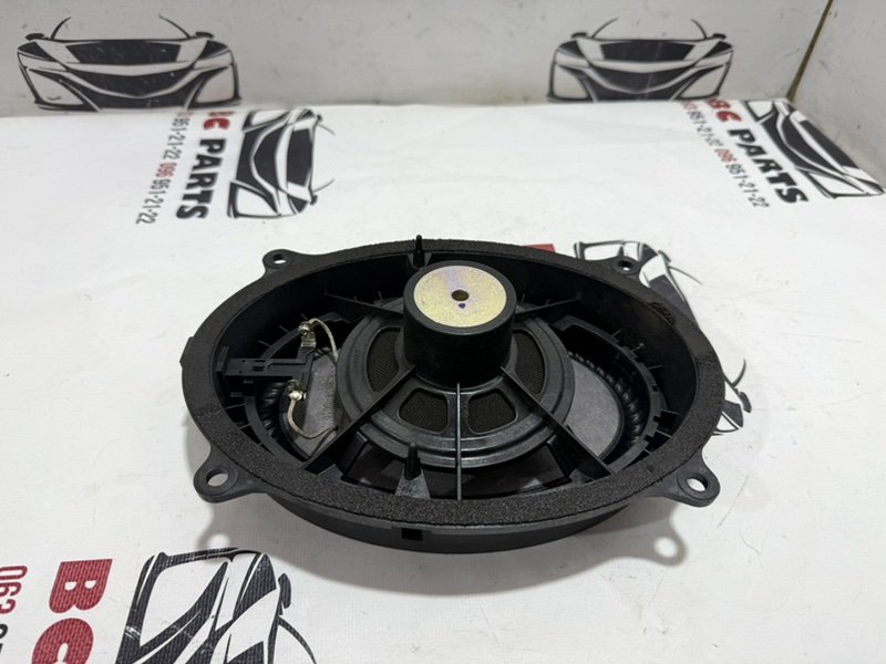 Динамик передний Rogue 2021 T33 2.5