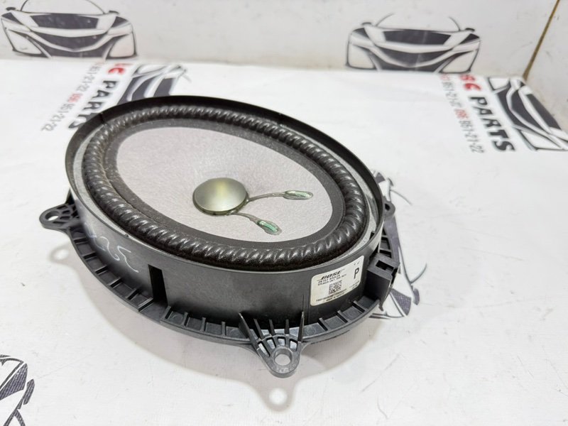 Динамик передний Rogue 2021 T33 2.5