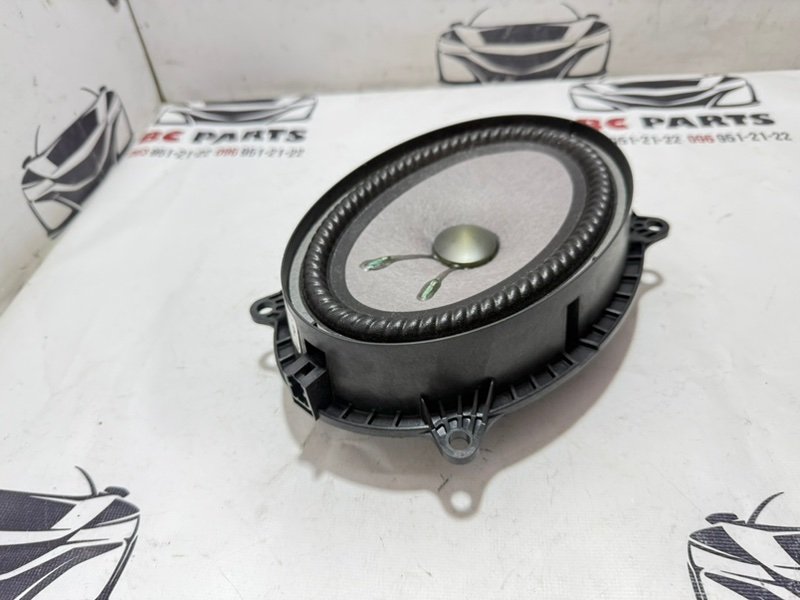 Динамик передний Rogue 2021 T33 2.5