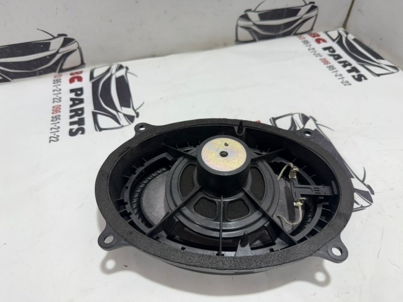 Динамик передний Rogue 2021 T33 2.5