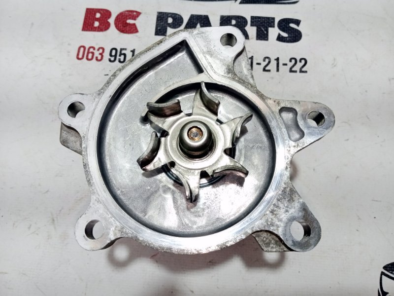 Помпа водяная (насос) охлаждения Rogue 2021 T33 2.5