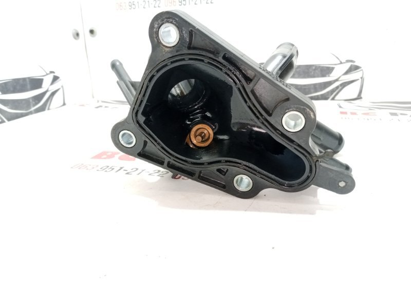 Корпус термостата Rogue 2021 T33 2.5