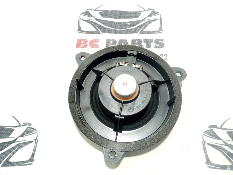 Динамик задний Rogue 2021 T33 2.5