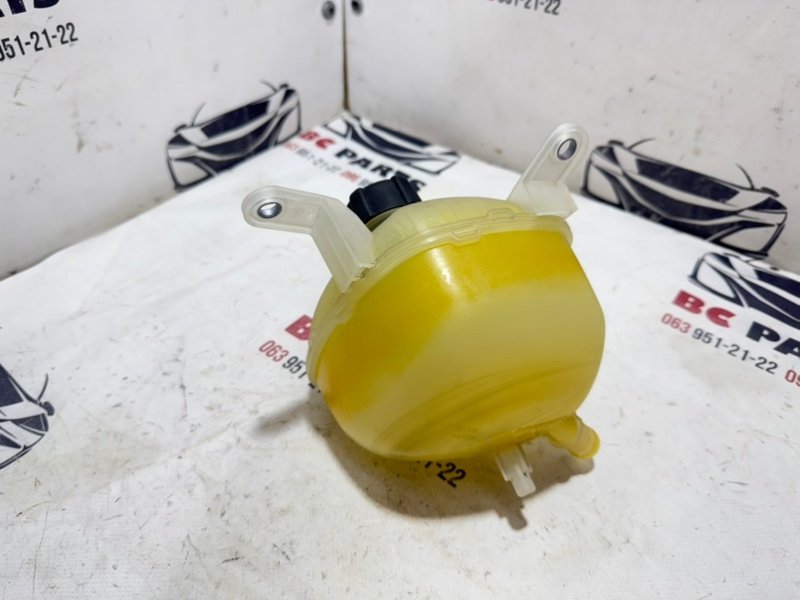 Бачок расширительный Rogue 2020 T33 2.5