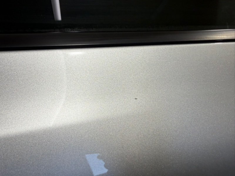 Дверь боковая задняя правая Rogue 2020 T33 2.5