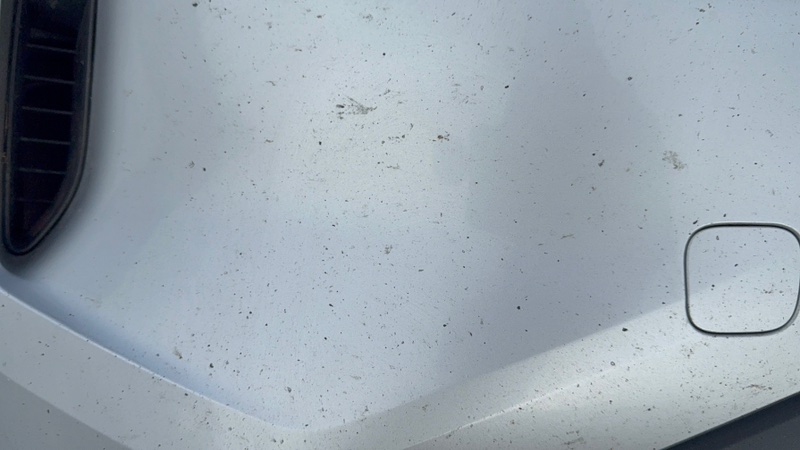 Бампер передний Rogue 2021 T33 2.5