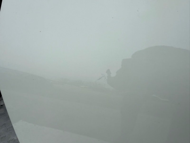 Дверь боковая передняя левая Rogue 2023 T33 1.5