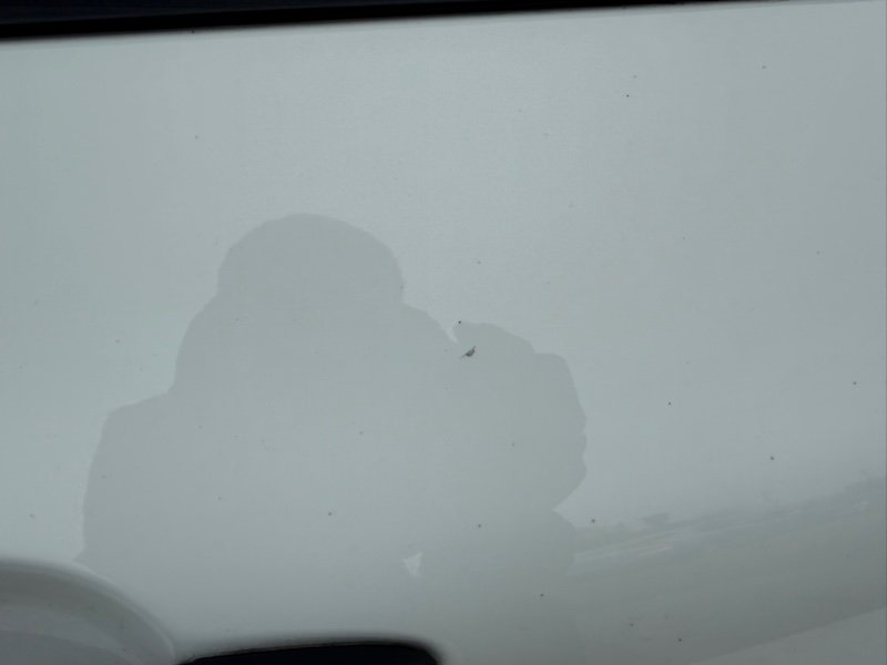 Дверь боковая передняя правая Rogue 2023 T33 1.5