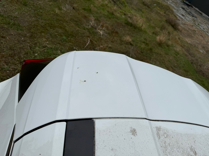 Крышка багажника Rogue 2023 T33 1.5