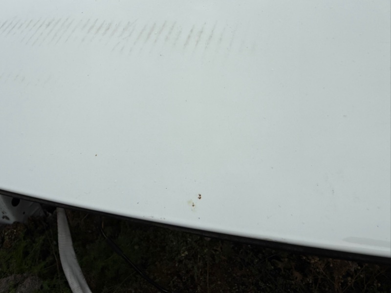 Капот Rogue 2023 T33 1.5