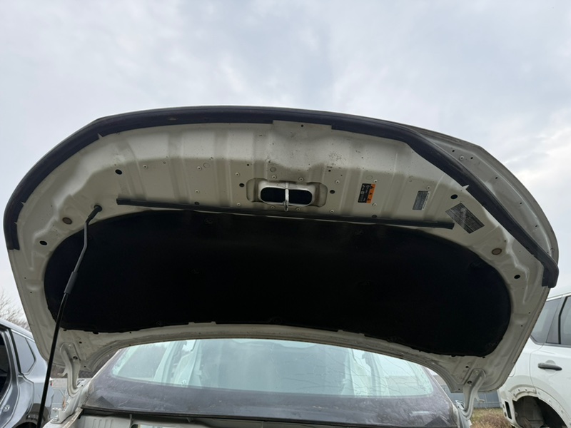 Капот Rogue 2023 T33 1.5