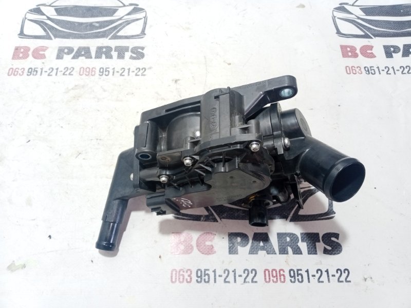 Корпус термостата Rogue 2024 T33 1.5
