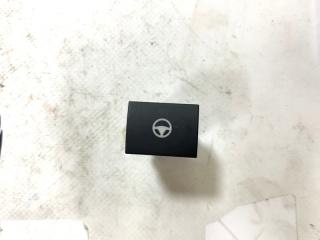 Кнопка Rogue 2023 T33 1.5 Кнопка Rogue 2023 T33 1.5
