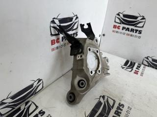 Цапфа задняя левая Rogue 2021 T33 2.5