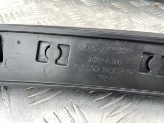 Комплект рейлингов Niro 2024