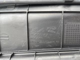 Жабо EV6 2023