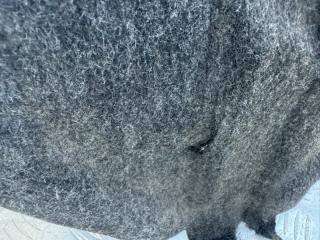 Подкрылок задний левый Rogue 2021 T33 2.5