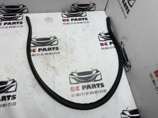 Уплотнительная резинка капота Tiguan 2020 2.0