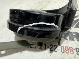 Звуковой сигнал Kicks 2021 1.6