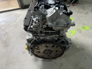 Двигатель Rogue 2021 T33 2.5