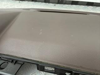 Торпедо Rogue 2021 T33 2.5