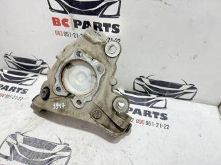 Цапфа задняя левая Rogue 2021 T33 2.5