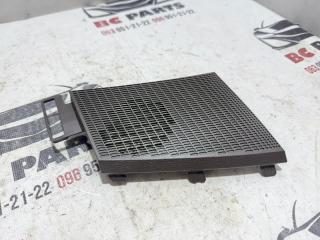 Накладка торпедо правая Rogue 2021 T33 2.5