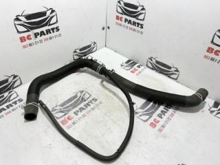 Патрубок радиатора Nissan Rogue 2021 Б/У Патрубок радиатора Nissan Rogue 2021