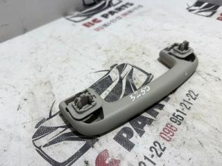 Ручка потолка передняя Rogue 2021 T33 2.5