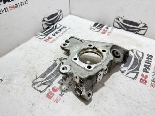 Цапфа задняя левая Rogue 2022 T33 1.5