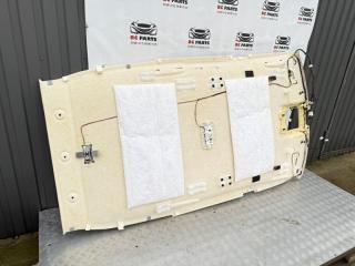 Обшивка потолка Rogue 2021 T33 2.5