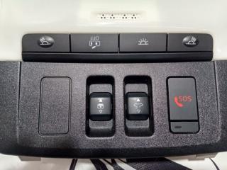 Плафон подсветки салона Rogue 2022 T33 1.5