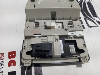 Плафон подсветки салона Rogue 2022 T33 1.5